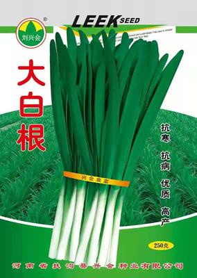 大白跟