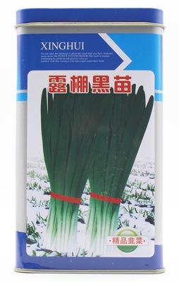 露棚黑苗