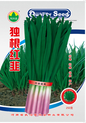 独根韭菜
