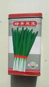 绿青韭宝