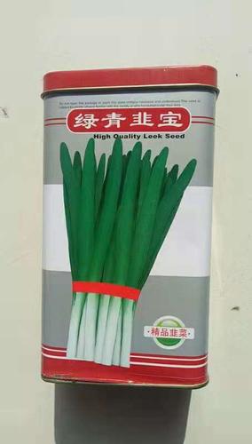 绿青韭宝